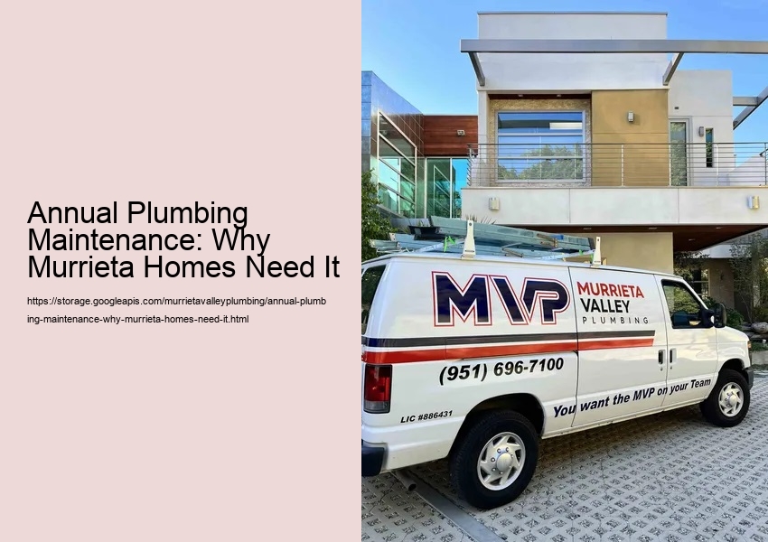 Annual Plumbing Maintenance: Why Murrieta Homes Need It