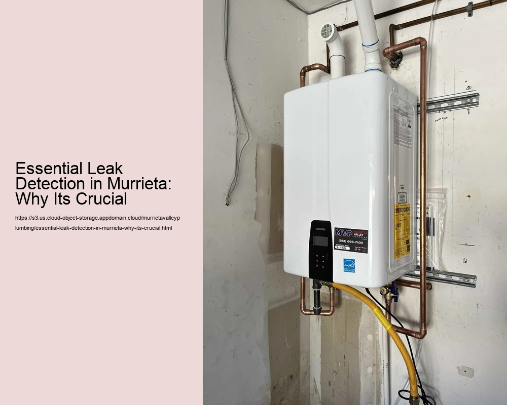 Essential Leak Detection in Murrieta: Why Its Crucial