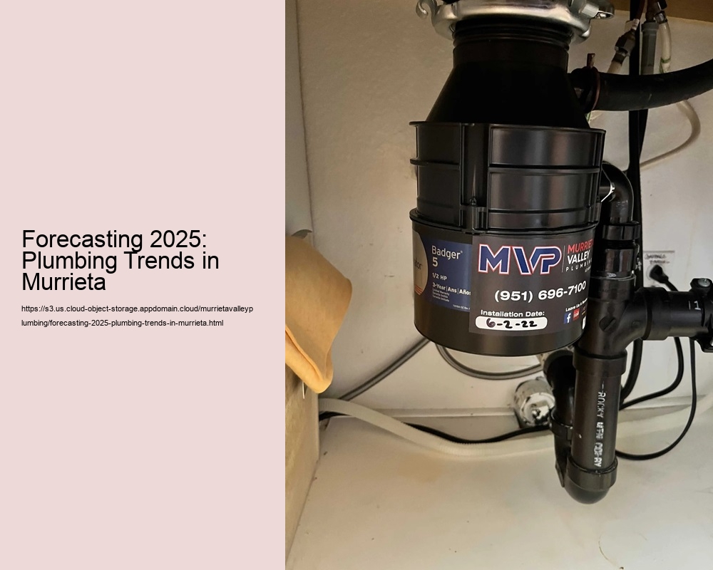 Forecasting 2025: Plumbing Trends in Murrieta