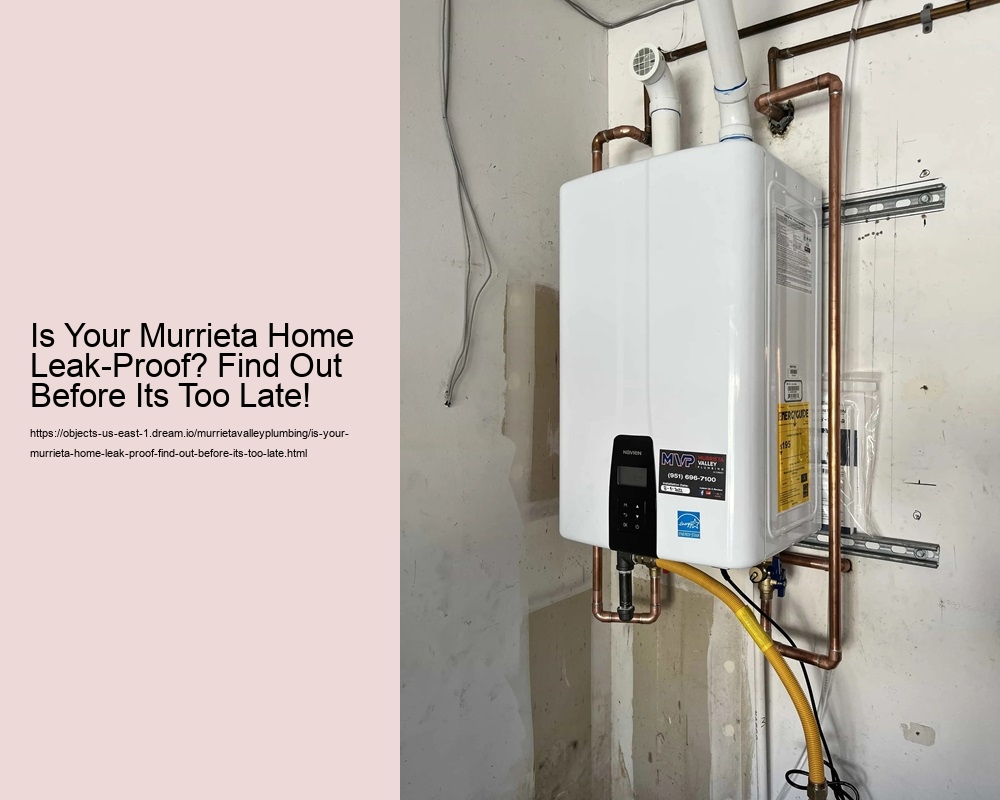 Is Your Murrieta Home Leak-Proof? Find Out Before Its Too Late!