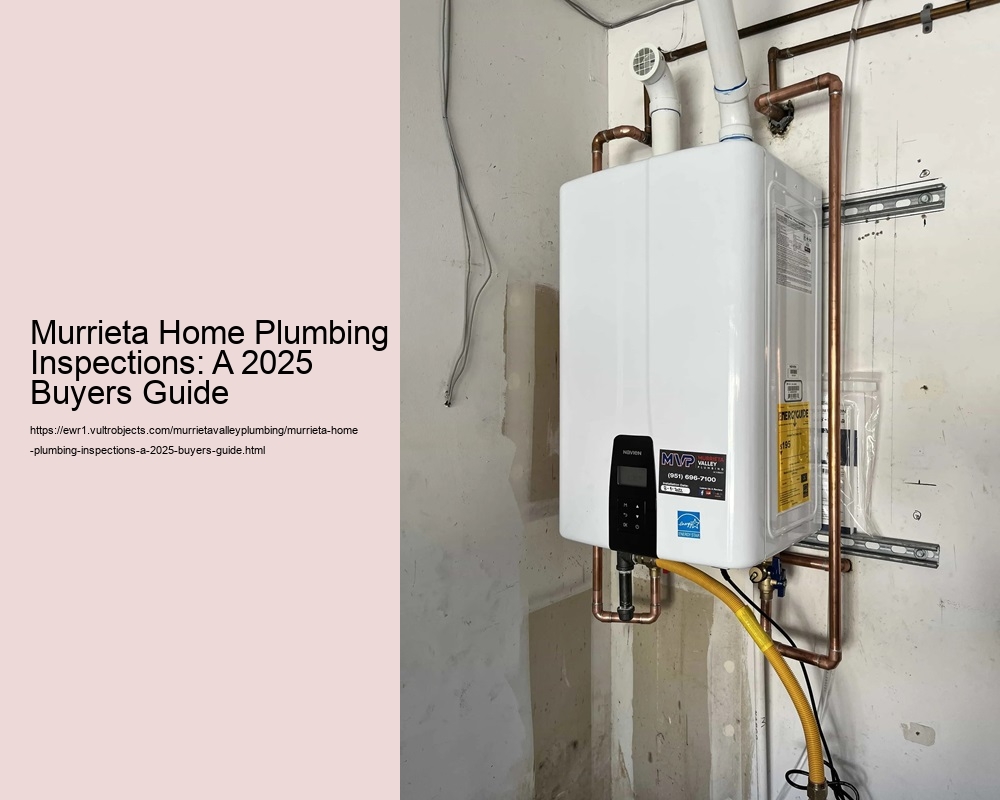 Murrieta Home Plumbing Inspections: A 2025 Buyers Guide