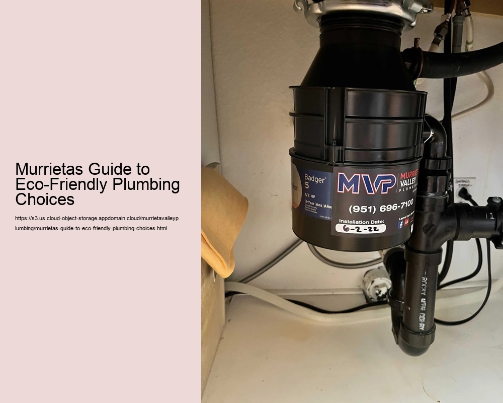 Murrietas Guide to Eco-Friendly Plumbing Choices
