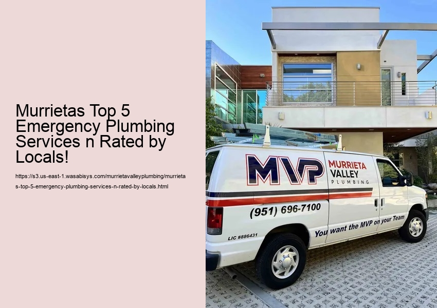 Murrietas Top 5 Emergency Plumbing Services n Rated by Locals!