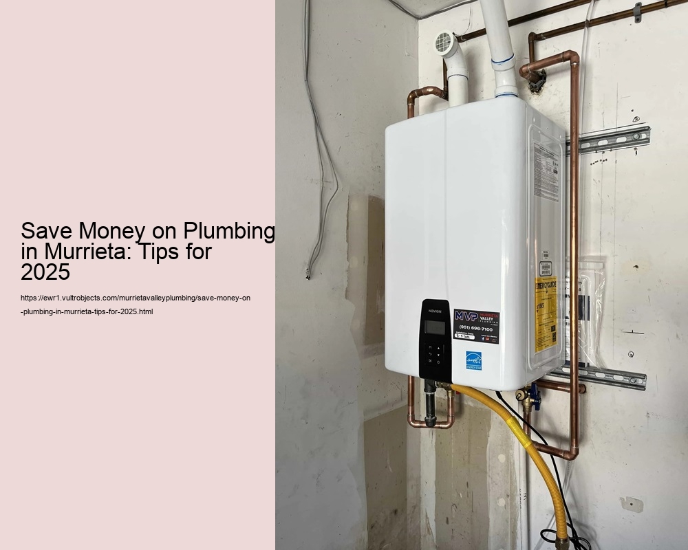 Save Money on Plumbing in Murrieta: Tips for 2025